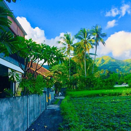D'Uma Amed Homestay Exterior photo